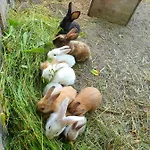 Apartmán Bensdorfer Muehle - Auszeit In Brandenburg