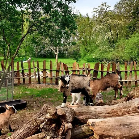 Bensdorfer Muehle - Auszeit In Brandenburg Διαμέρισμα Bensdorf