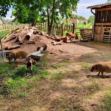 Bensdorfer Muehle - Auszeit In Brandenburg Bensdorf