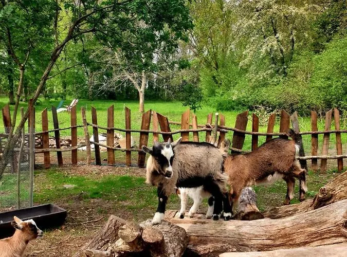 Bensdorfer Muehle - Auszeit In Brandenburg Daire Bensdorf