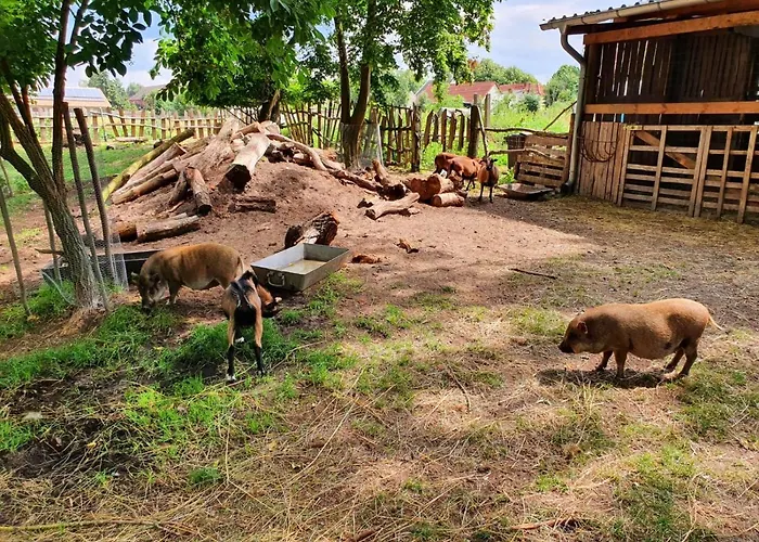 Bensdorfer Muehle - Auszeit In Brandenburg Bensdorf